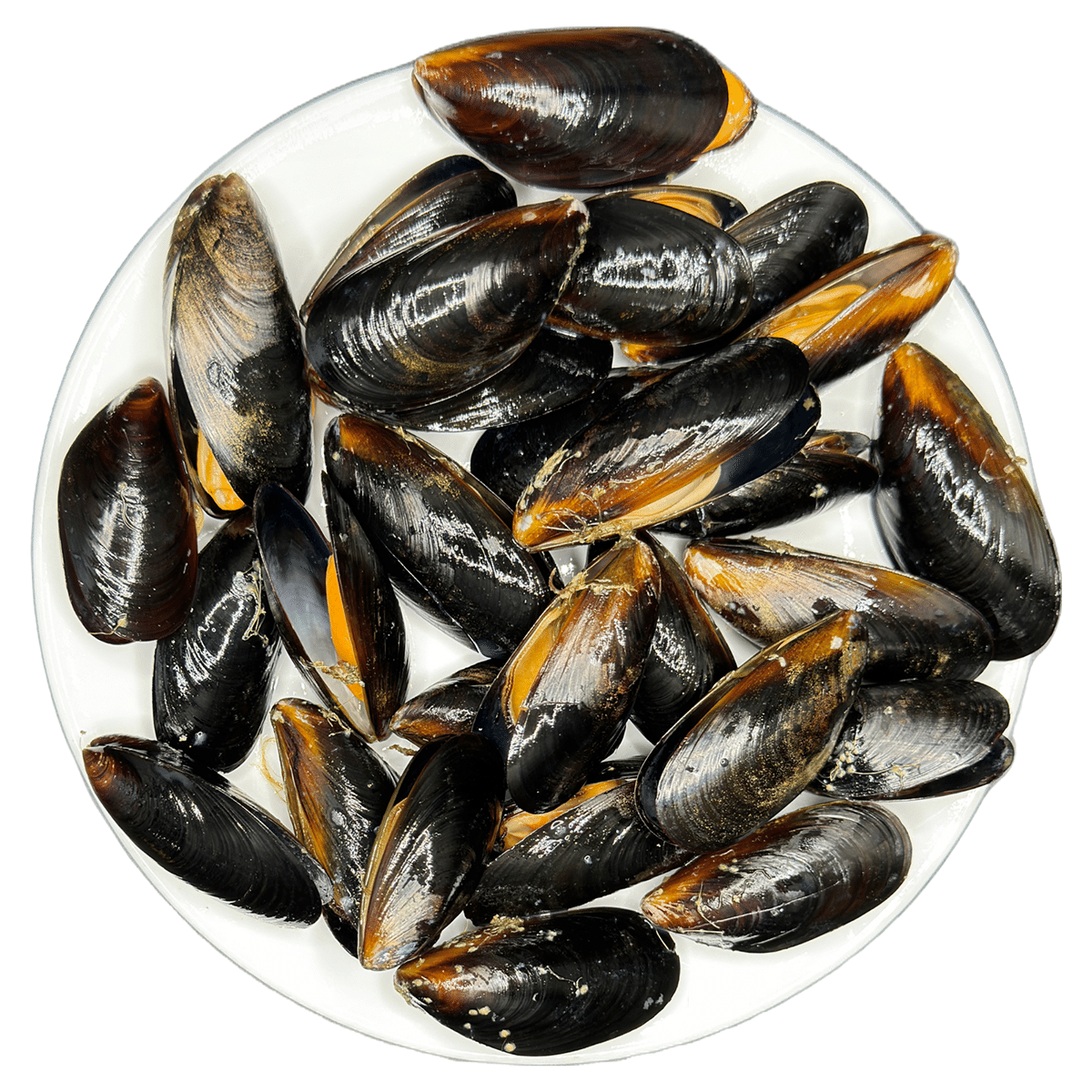 Vẹm Đen Chile Nguyên Vỏ 20/30 con 1 lb