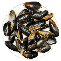Frozen Whole Black Mussel from Chile 20/30 1lbs 1 lb