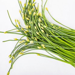 Garlic Chives with Flower 0.95-1.05 lb
