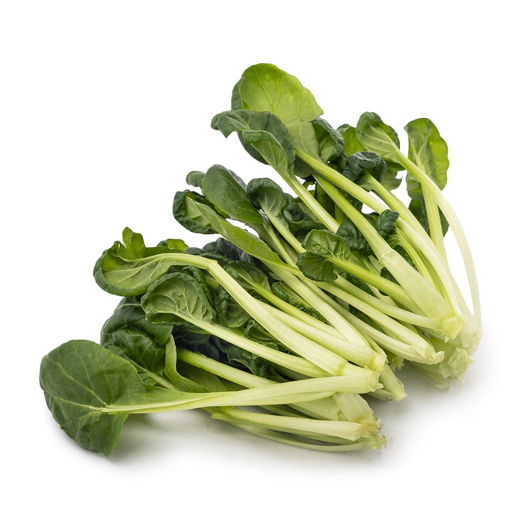 Tat Choy 1.5 lb