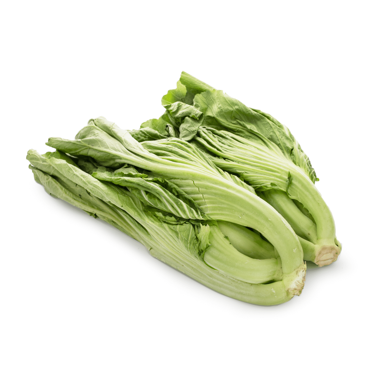Gai Choy Big 2.8-3.2 lb