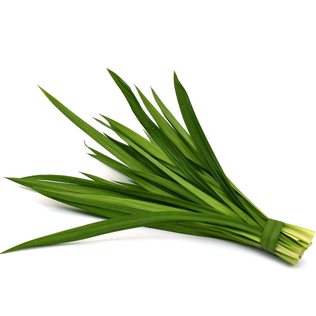 Fresh Pandan Leaf 100 g