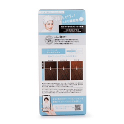 Kao Liese Prettia Hair Color Foam, Cool Ash 1 each
