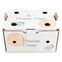 Valencia Oranges 10 lb