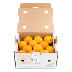 Valencia Oranges 10 lb