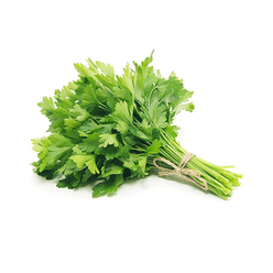 Italian Plain Parsley 1 bunch