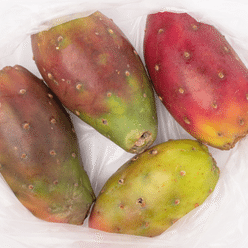 Red Cactus Pear 4 count