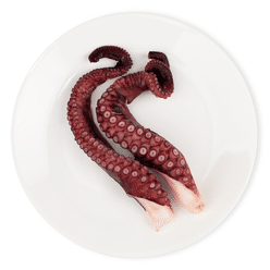 Shirakiku 냉동자숙 문어다리 사시미등급 250 그램