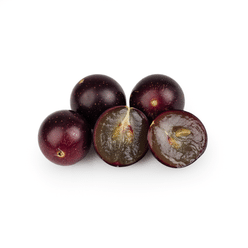 Muscadine Grape 20 oz