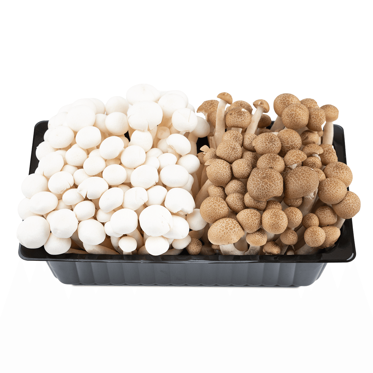 Mix Shimeji Mushroom 250 g