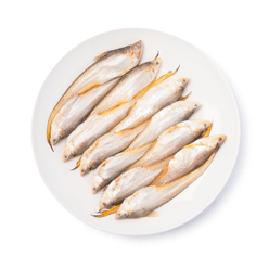 Tapertail anchovy 500 그램