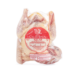 King Cal 냉동 캘리포니아 비둘기 15-17 온스