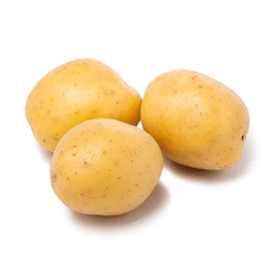 Golden Potato 2.85-3.15 lb