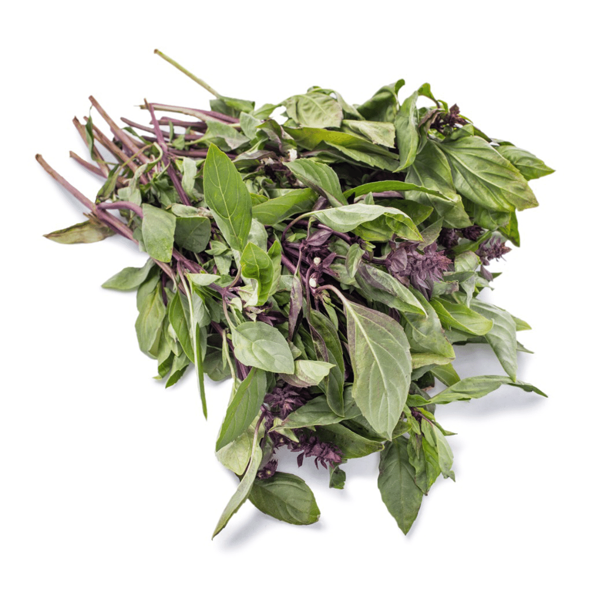 Rau Húng Quế 0.5 lb