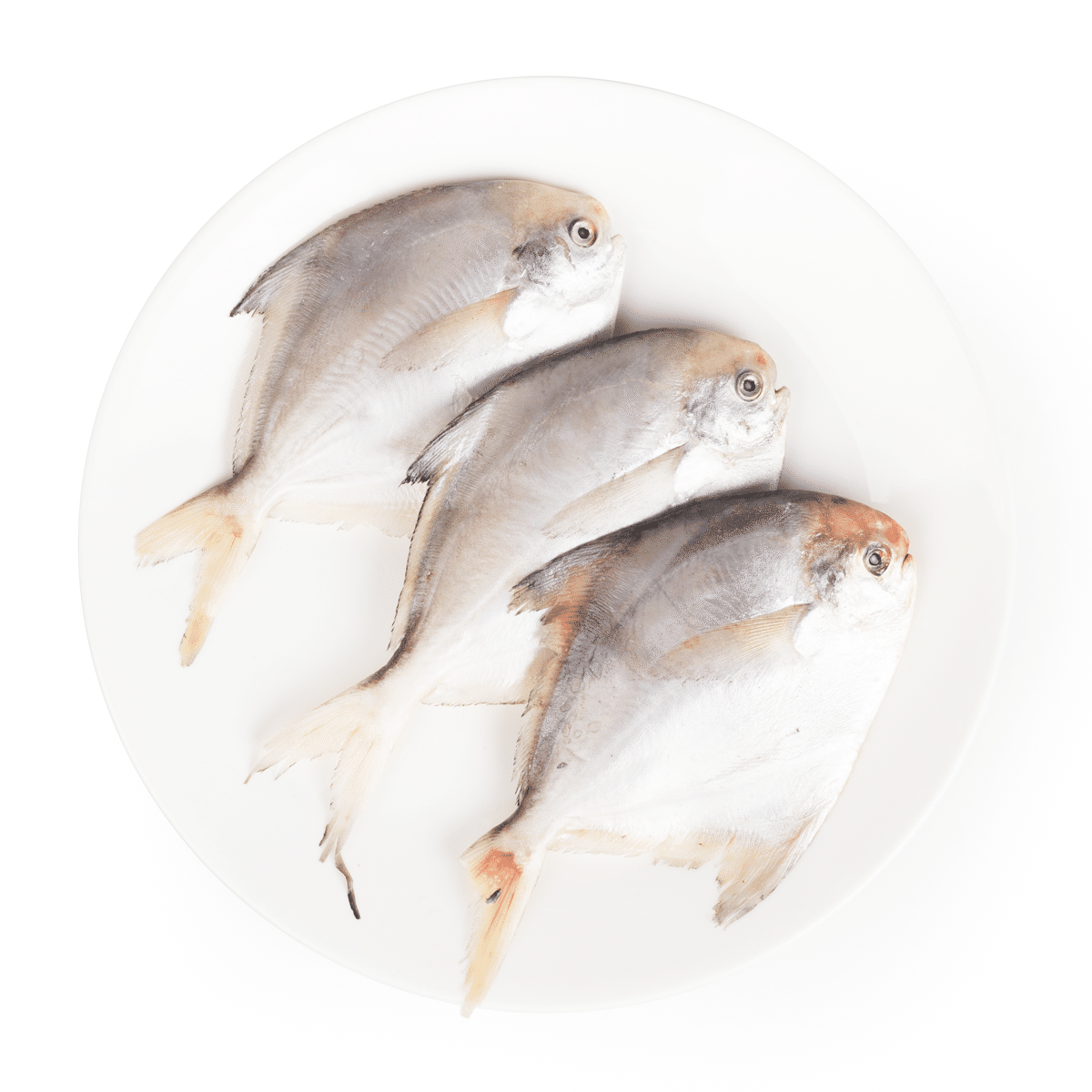 Wild Caught Whole Round Silver Pomfret 4-5pcs, Frozen 500 g