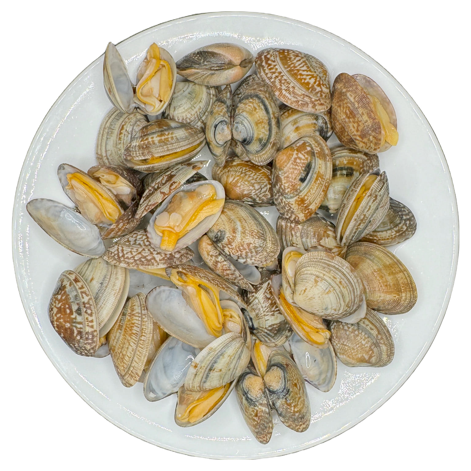 Palomine Cooked Baby Clams, Frozen 1.4-2 lb
