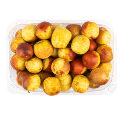 California Winter Jujube 2 lb