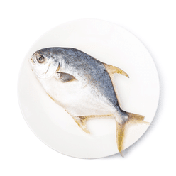 Talassa Golden Pompano, Gutted and Gilled, Frozen 0.88-1.32 lb