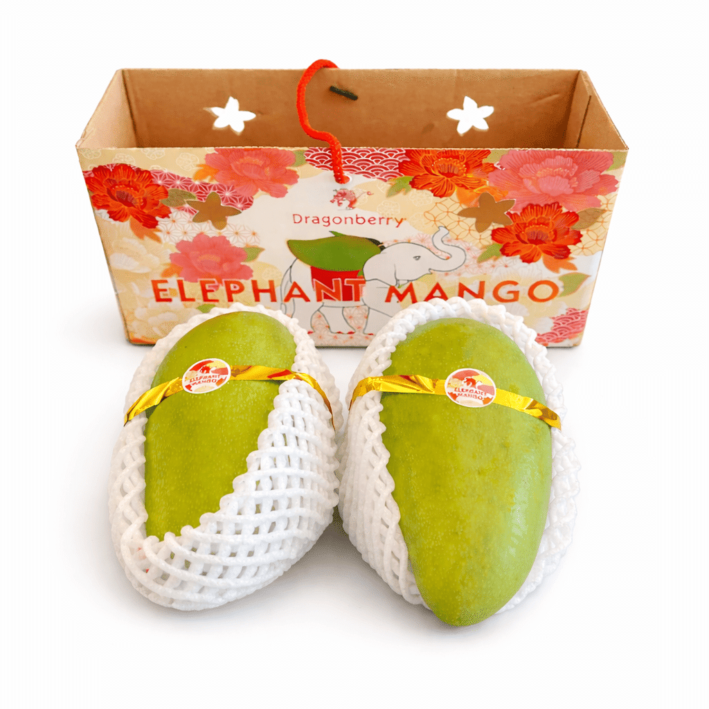 Elephant Mango 2ct Gift Box 1 each