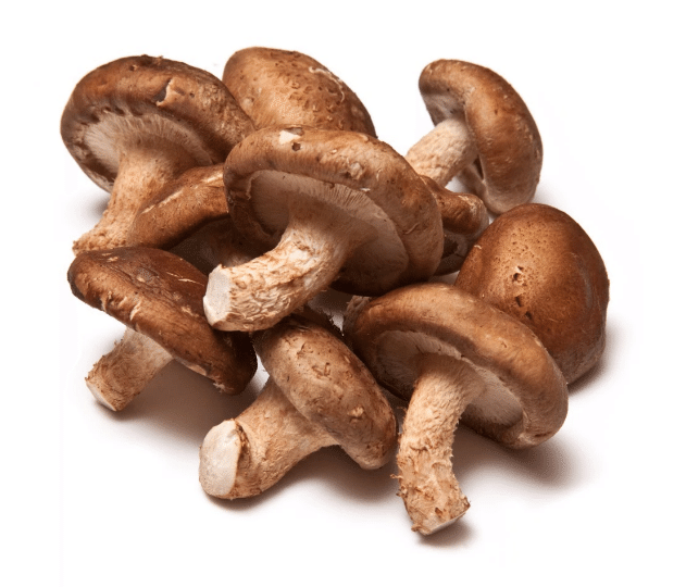 Fresh Shiitake 8 oz