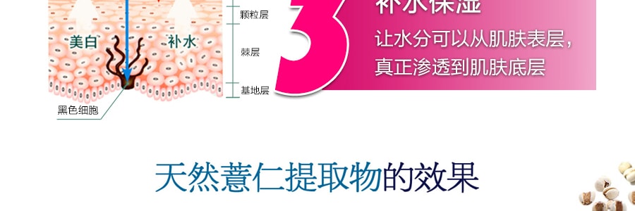 日本NATURIE 薏仁美白保濕全能化妝水 500ml 國際版 COSME大賞第一位