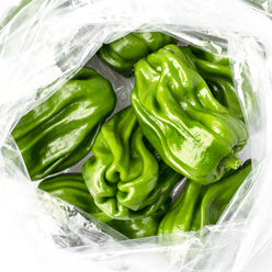 Cachucha/Gustoso (Ají Dulce) 8 oz