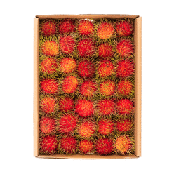 Rambutan Box 4.5-5 lb