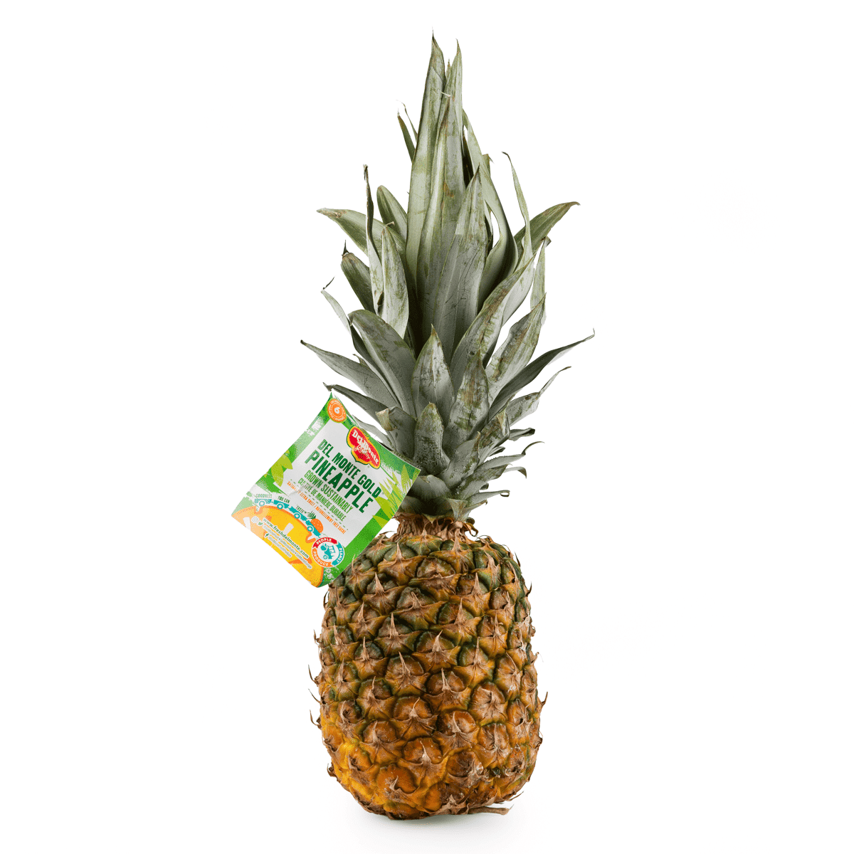 Piña 1 unidad(es)
