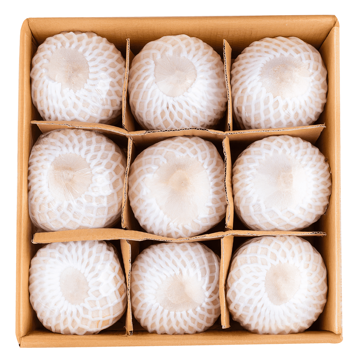 Thai Young Coconut 9ct 1 case