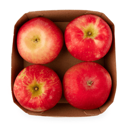 Organic Honeycrips Apples 4ct 1 box