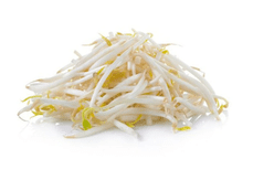 Green Bean Sprouts 16 온스