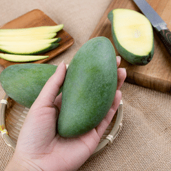 Small Thai Green Mango 1 개입