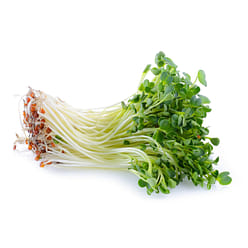 Radish Sprouts 2.5 oz