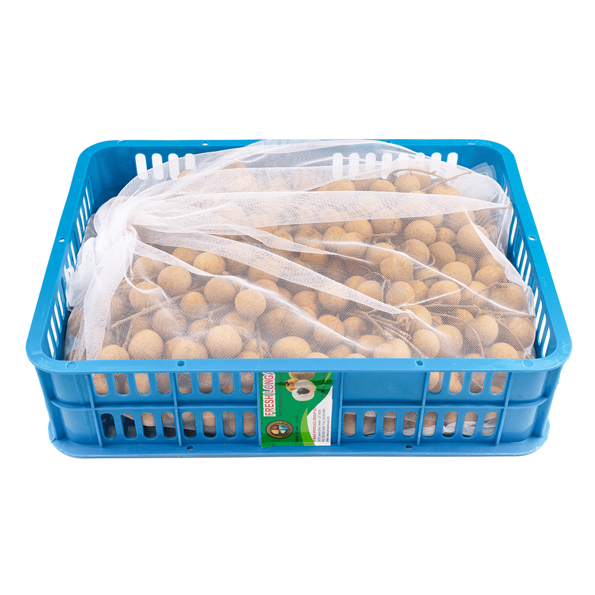 Vietnam Longan Whole box 10-11 libra(s)