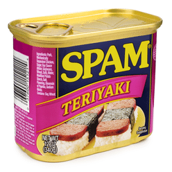 Spam Teriyaki 12 oz