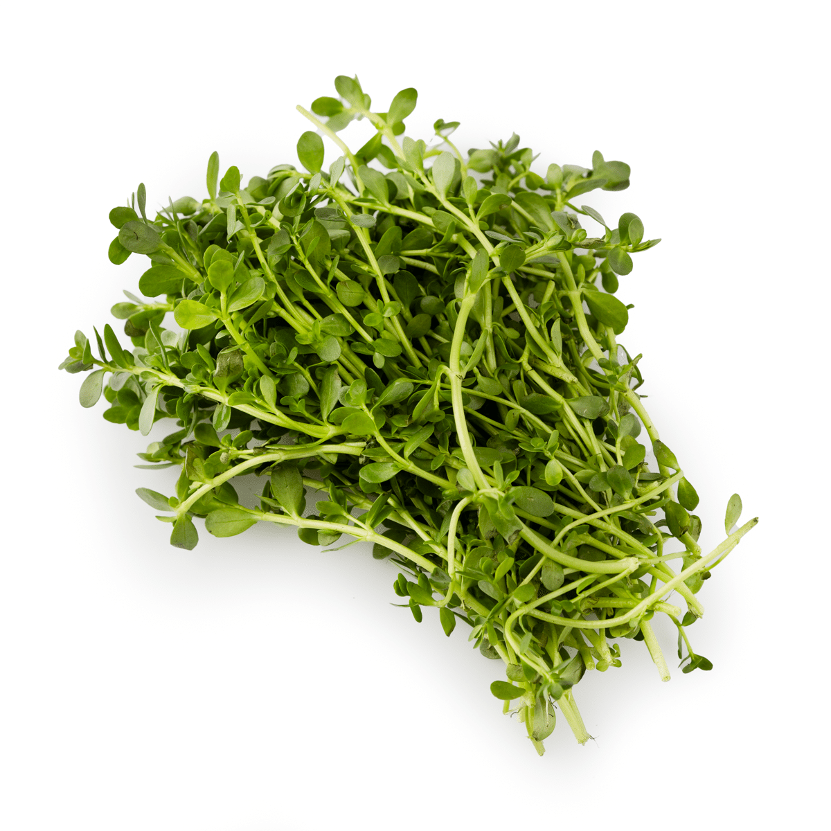 Rau Đắng 0.5 lb