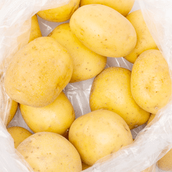 Golden Potato 2.85-3.15 lb