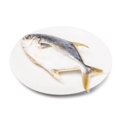 Talassa Golden Pompano, Gutted and Gilled, Frozen 0.88-1.32 lb