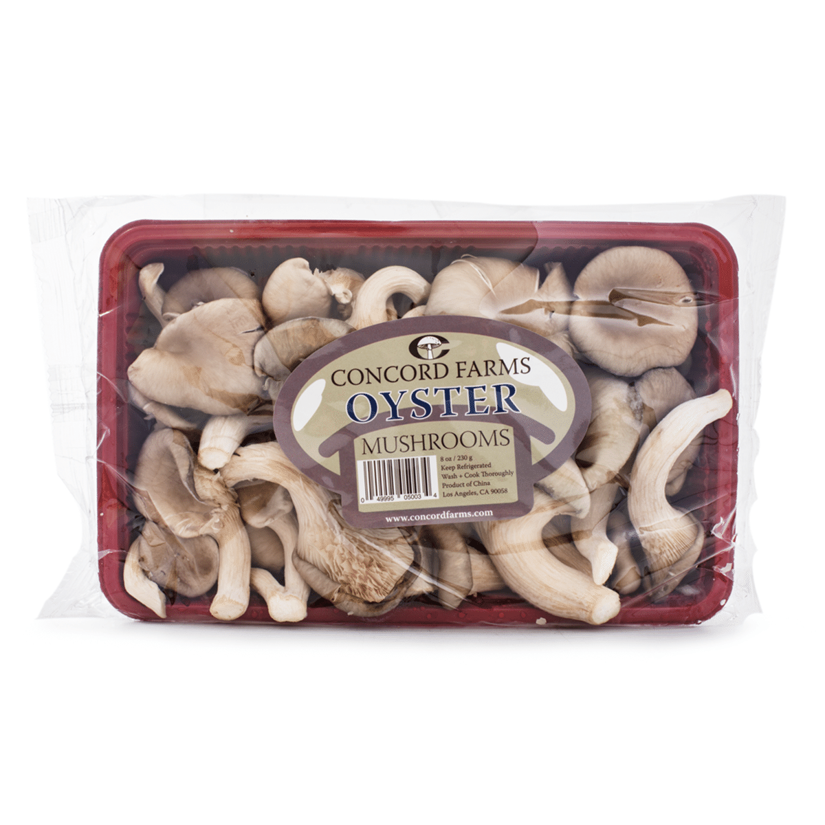 Oyster Mushroom 8 oz
