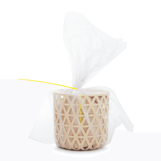 weee_dried_Tianmushan Dried Young Bamboo Shoots 16 oz