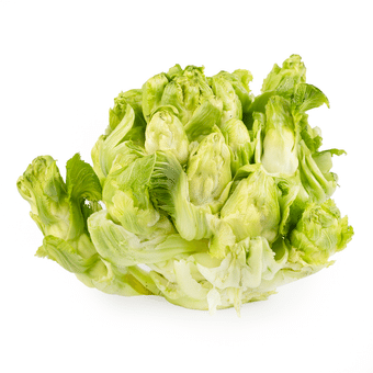 ステムレタス（茎レタス） 2.3-2.6 ポンド - Weee!