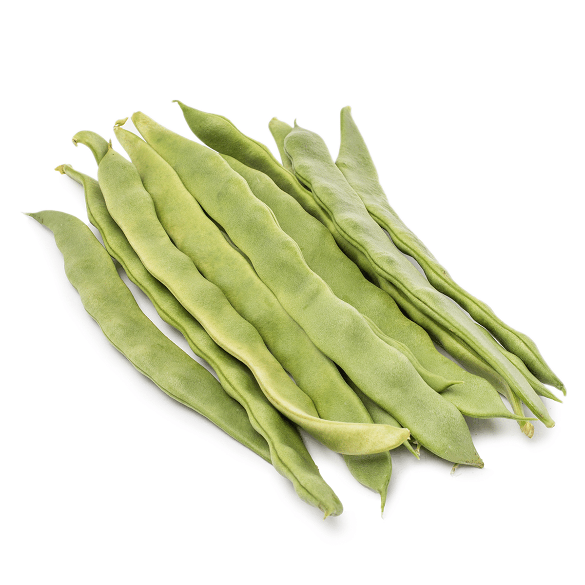 Romano Beans 0.95-1.05 lb