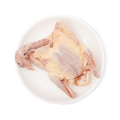 King Cal 냉동 캘리포니아 비둘기 15-17 온스