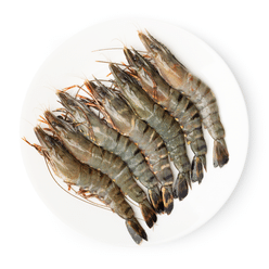 Sea Port Black Tiger Head On Shell On Prawns 13/15ct, Frozen 1 lb