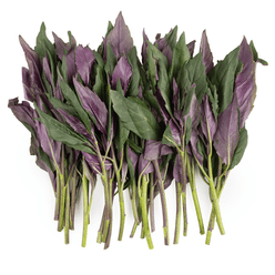 Okinawan Spinach 1 lb