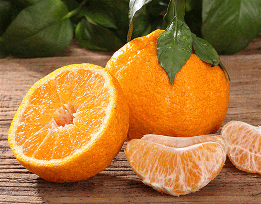 Image result for 蘆柑 gif