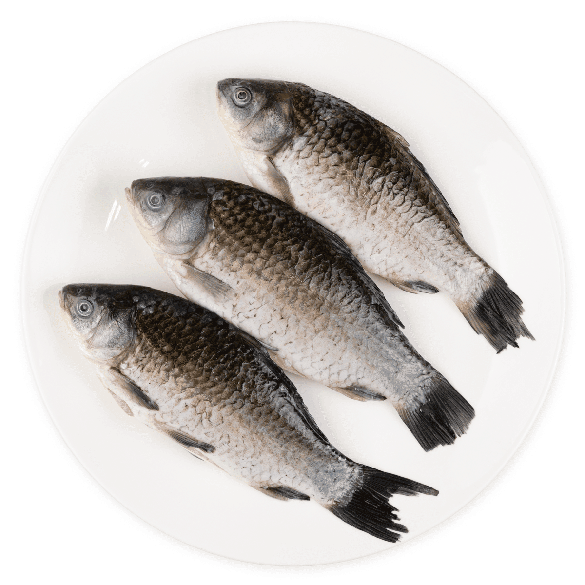 Saturday Silver Carp Whole Cleaned 2-3pcs, Frozen 500 g