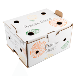 Valencia Oranges 10 lb