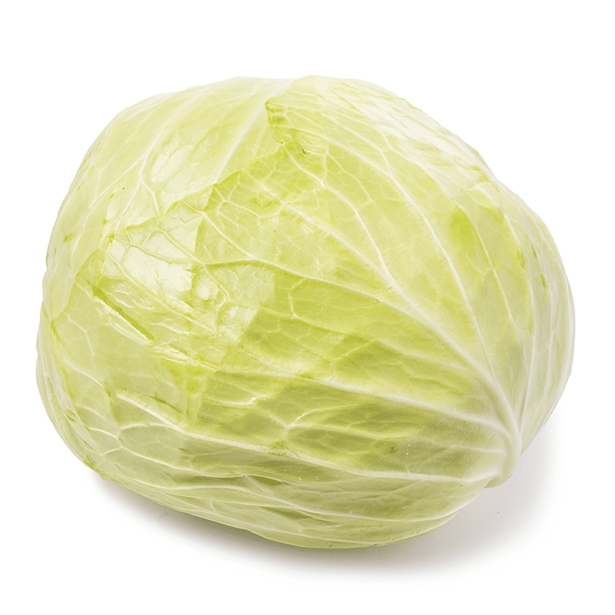 Taiwan Cabbage 1 count