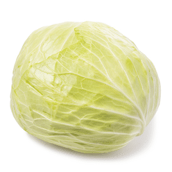 Taiwan Cabbage 1 count